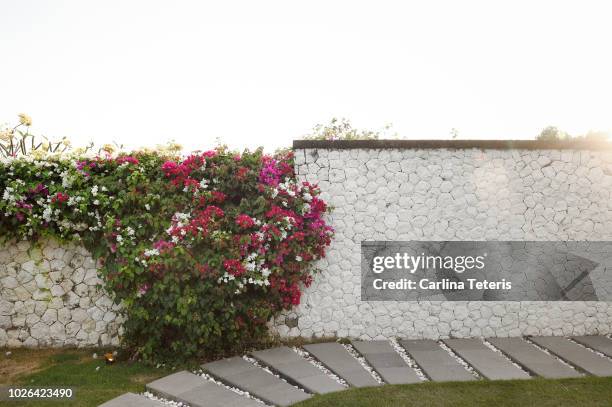 beautiful garden wall at sunset - garden wall stock pictures, royalty-free photos & images