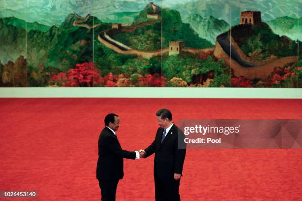 Cameroon President Paul Biya, left, shakes hands with Chinese President Xi Jinping during the Forum on China-Africa Cooperation held at the Great...