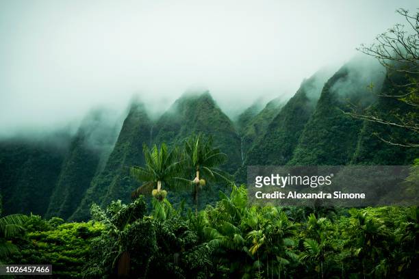 tropical scenery, kaneohe, oahu, hawaii islands, usa - tropical forest fotografías e imágenes de stock