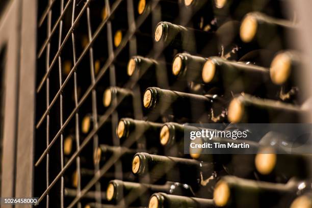 wine bottles in wine cellar, mendoza, argentina - winery fotografías e imágenes de stock