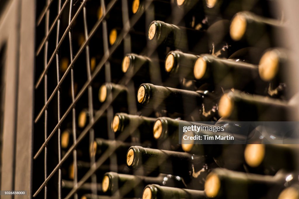 Wine bottles in wine cellar, Mendoza, Argentina