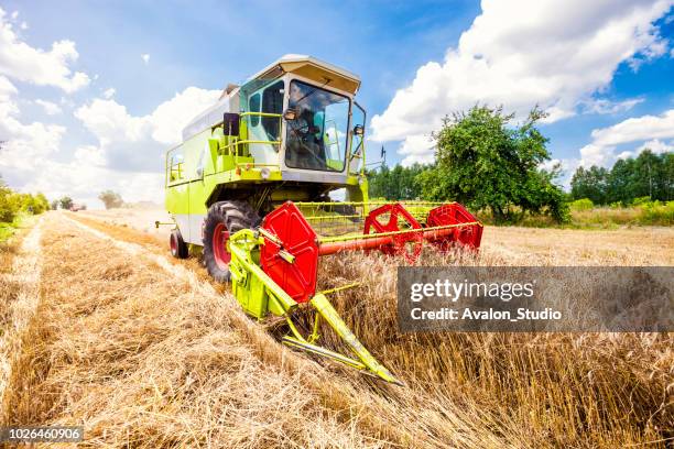 mietitrebbiatrice verde in campo grano - mietitrebbia foto e immagini stock