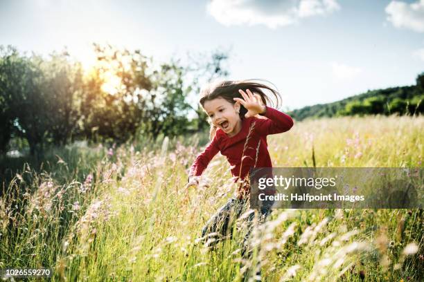 portrait of a cheerful happy small girl jumping outside in spring nature. - jumping sun stock pictures, royalty-free photos & images