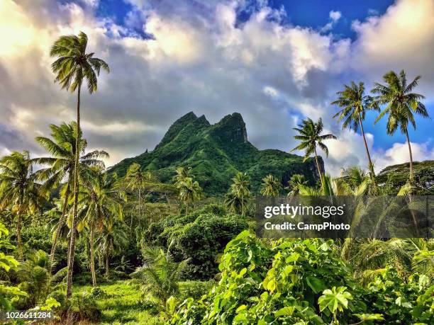 stunning raiatea landscape - windward islands polynesia stock pictures, royalty-free photos & images