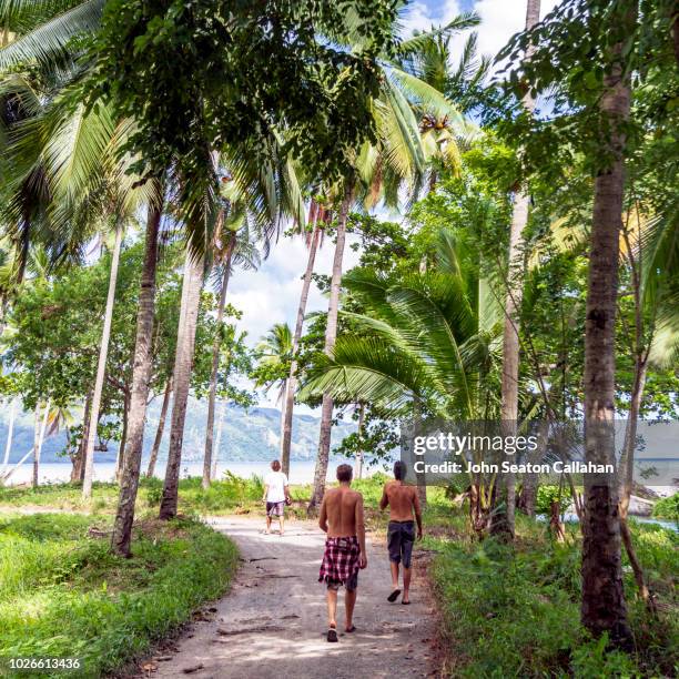 the philippines, coastline of mindanao island - davao city stock pictures, royalty-free photos & images