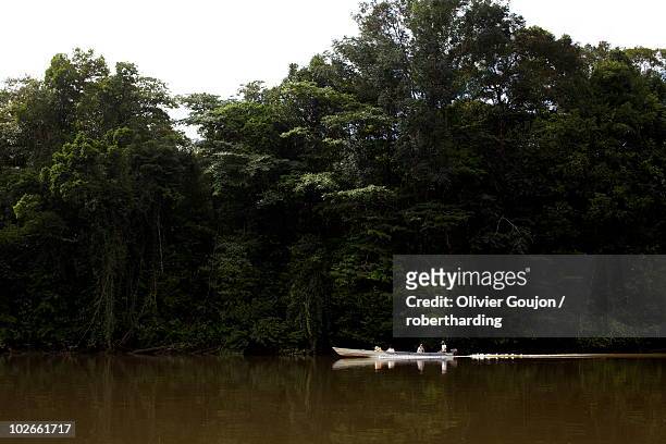 a pirogue on the approuague river, french guiana, south america - dugout canoe ストックフォトと画像
