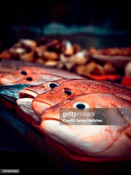 fish market - insel phu quoc stock-fotos und bilder