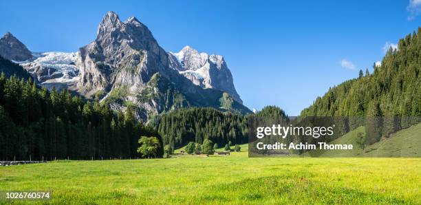 rosenlaui glacier, meiringen, canton of bern, switzerland, europe - swiss alps photos et images de collection