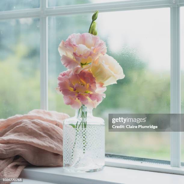 pastel - pretty pastel coloured lisianthus flowers, in a china vase on a window ledge. next to a pink muslin scarf. - flowers vase ストックフォトと画像