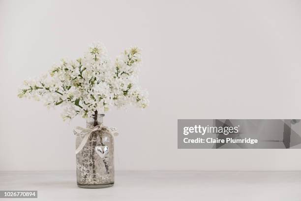pastel - styled stock image of a bunch of white lilac sprigs in a glass vase on a grey watercolour effect background. - white lilac stock pictures, royalty-free photos & images