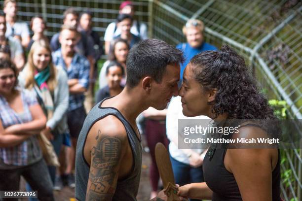 travelers visit some of the oldest maori rock paintings in new zealand as a local woman shows some traditional culture. - hongi imagens e fotografias de stock