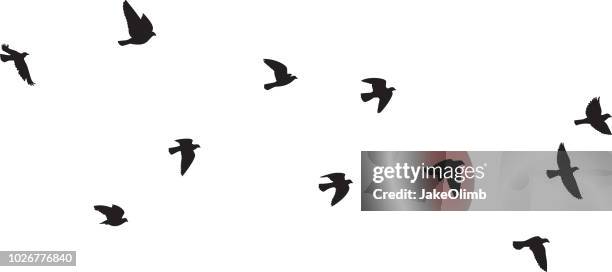 tauben fliegen silhouetten 1 - vogel stock-grafiken, -clipart, -cartoons und -symbole
