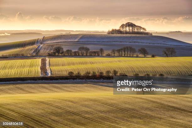 woodborough hill from knap hill, vale of pewsey - wiltshire stock pictures, royalty-free photos & images