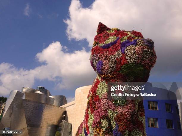 puppy outside guggenheim museum bilbao - jeff koons and guggenheim museum bilbao stock pictures, royalty-free photos & images