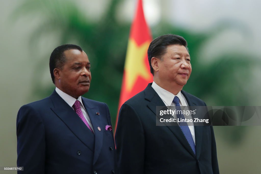 President Xi Jinping Meets African Leaders