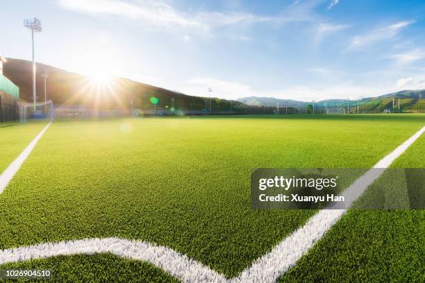 sunny football field at sunset - soccer field outline stock pictures, royalty-free photos & images