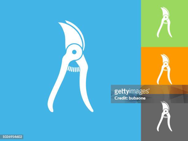 pruners flat icon on blue background - pruning shears stock illustrations