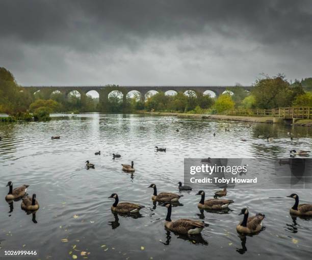 reddish vale railway viaduct and lake - stockport ストックフォトと画像