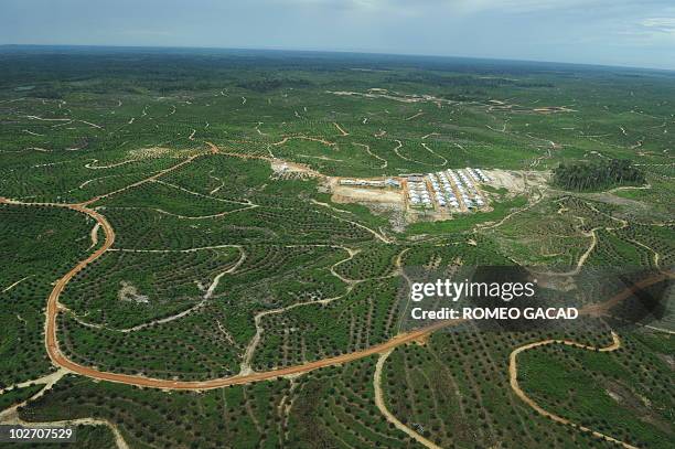 This aerial picture taken on July 6 over eight concession areas of Indonesia's biggest palm oil firm Sinar Mas, shows the company's palm oil...