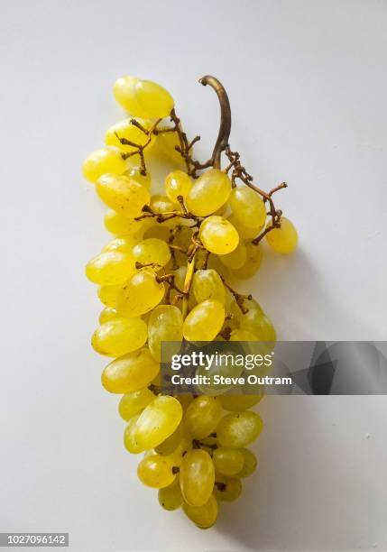 green grapes - nutricion stock pictures, royalty-free photos & images