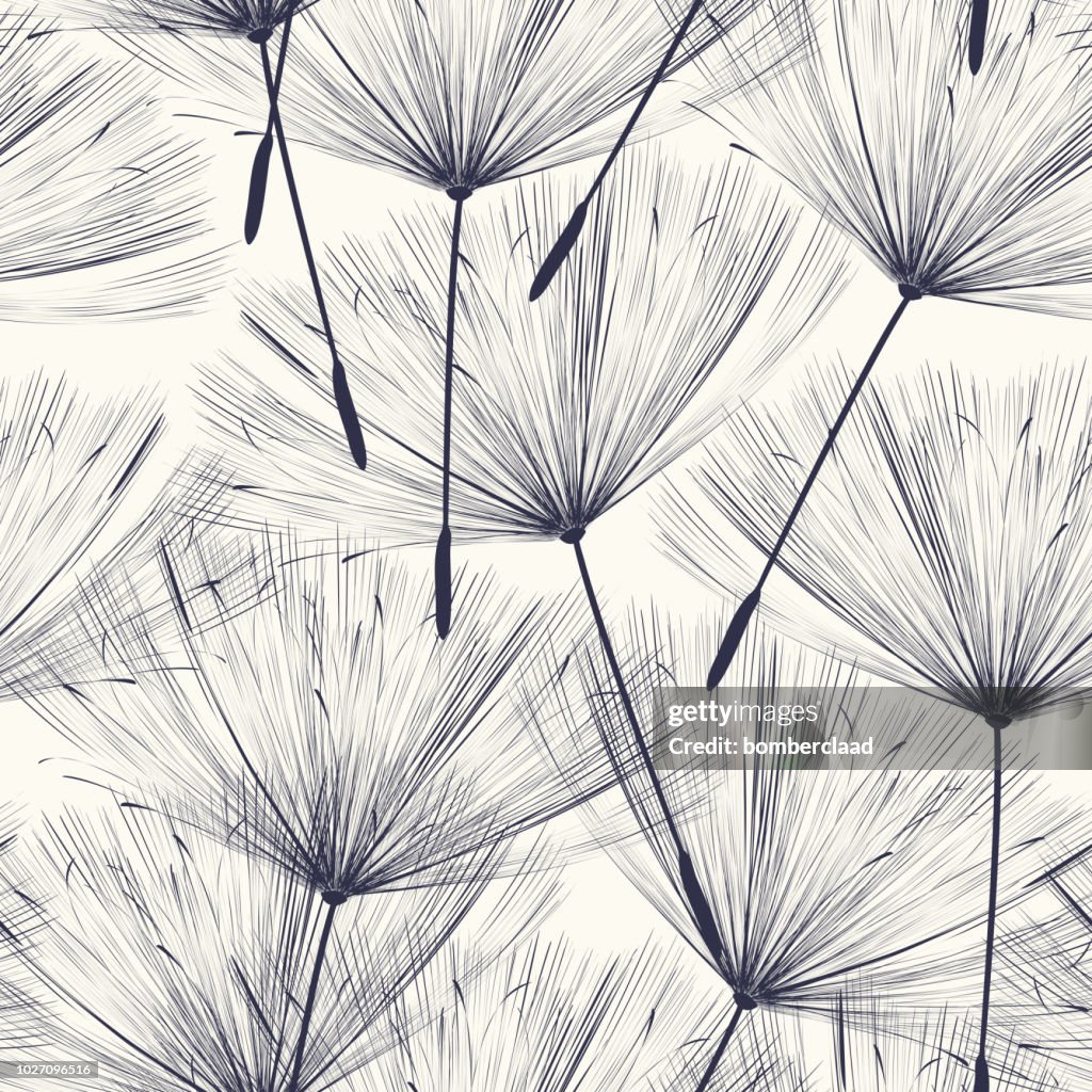 Dandelion Pattern Math Delicate Dandellion Pattern High-Res Vector Graphic - Getty Images