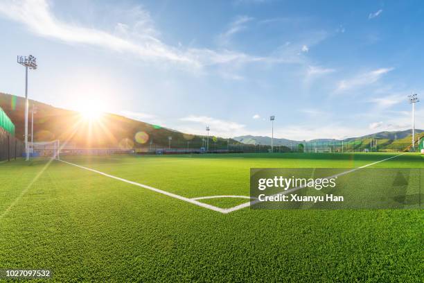 sunny football field at sunset - terrain de foot photos et images de collection