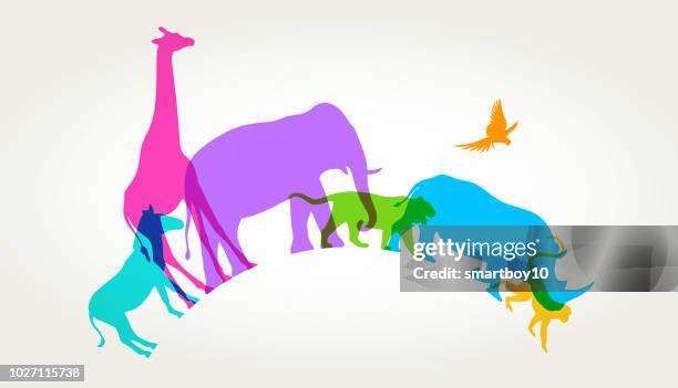 wild animals - endangered animals stock illustrations