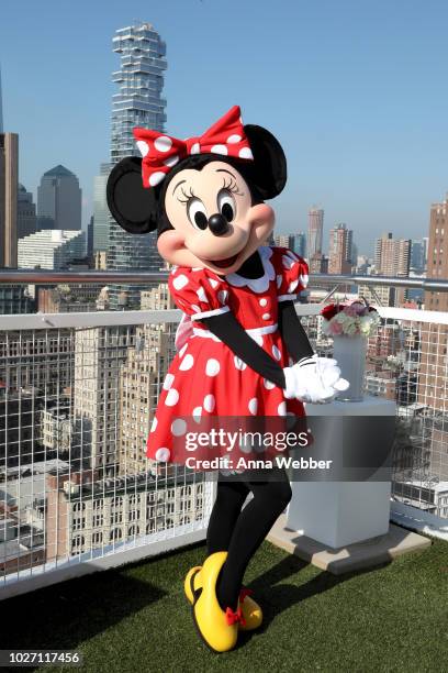 5,696 Minnie Mouse Stock Photos, High-Res Pictures, and Images - Getty  Images