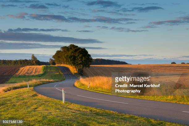 rural denmark - denmark road stock pictures, royalty-free photos & images