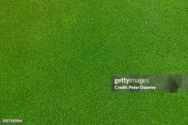 close up of immaculate grass lawn - gras stock-fotos und bilder