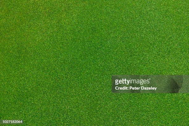 close up of immaculate grass lawn - overhead view imagens e fotografias de stock