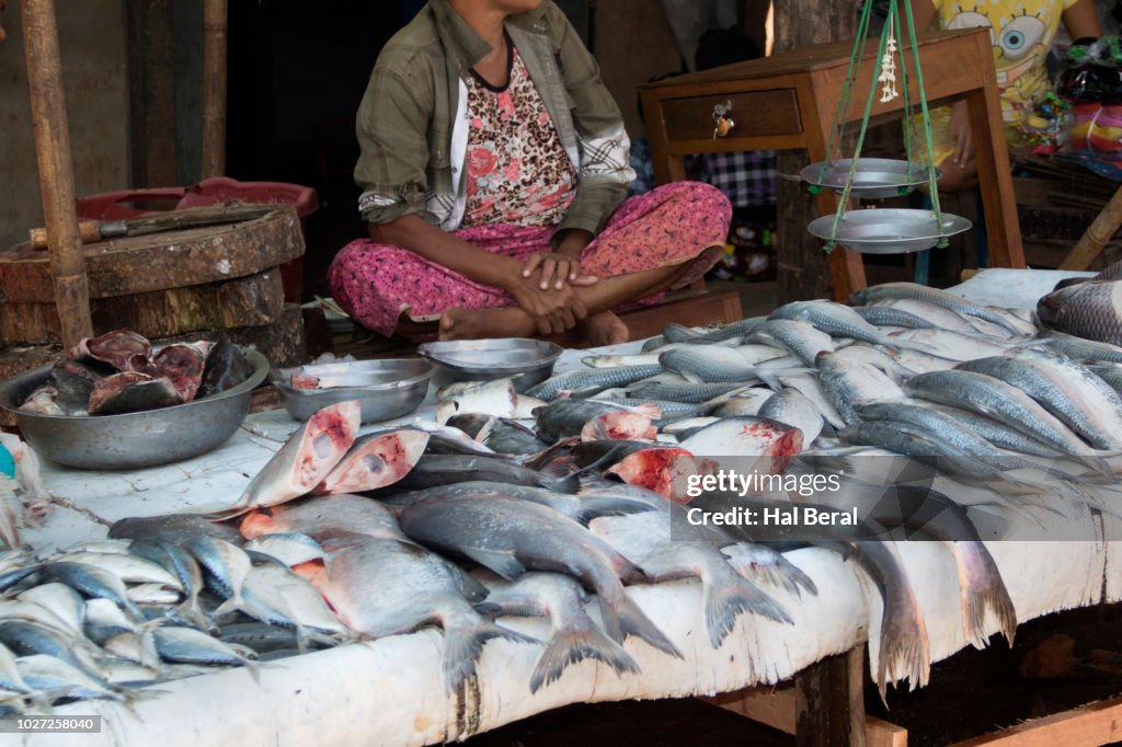 Fish for sale in the Bago public market