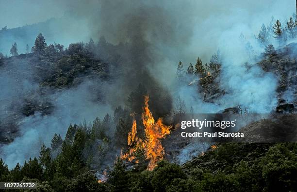 forest fire, cevennes, france - 自然災害 ストックフォトと画像