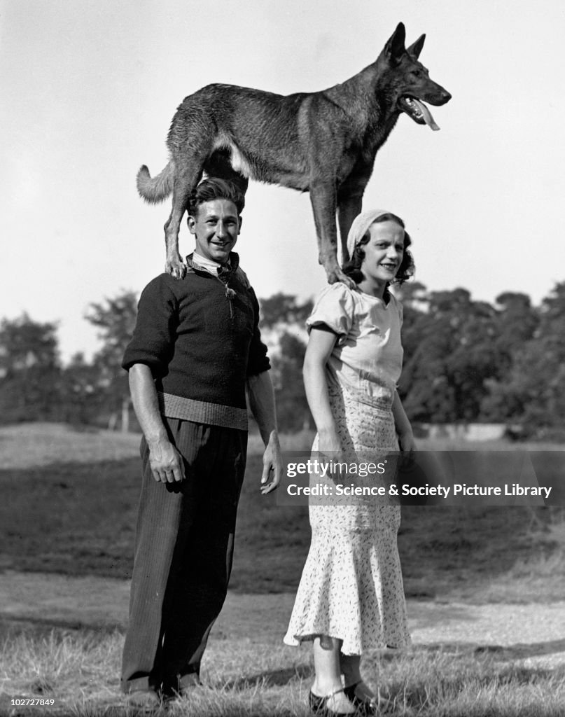 Couple with dog standing on their shoulders, 1910s.