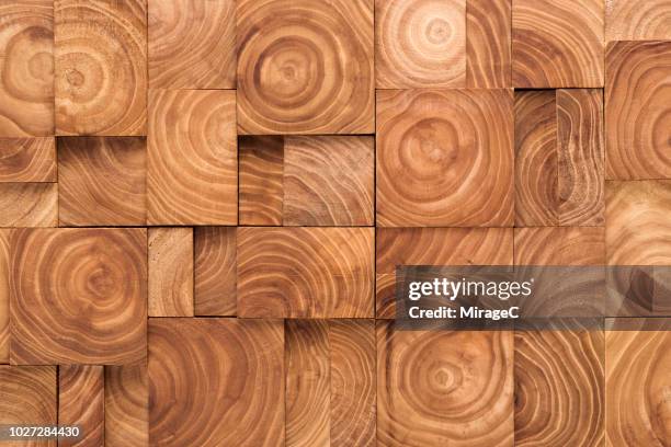 Tree Rings Collage 305 Tree Rings Macro Stock Photos, High-Res Pictures, and Images ...