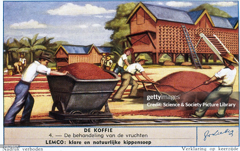 Transporting coffee beans, Liebig trade card, c.1930-60.