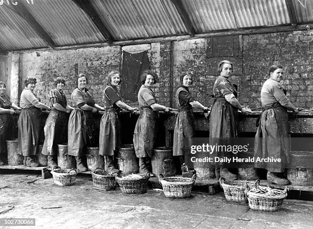 Kipper girls posing at their workbench, Scotland, 24 September 1931 Kipper girls posing at their workbench, Newhaven, Edinburgh, Scotland. This...