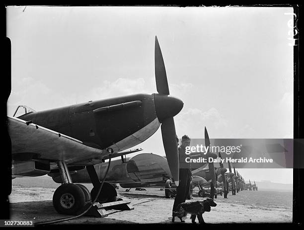 Spitfires, 1939. A photograph of a squadron of Spitfire fighter planes at Duxford aerodrome, Cambridgeshire, taken by Edward Malindine for the Daily...