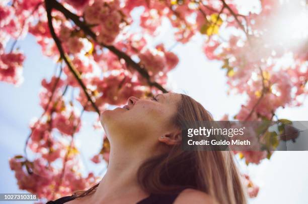 smiling woman looking up to a blooming tree. - frühling stock-fotos und bilder