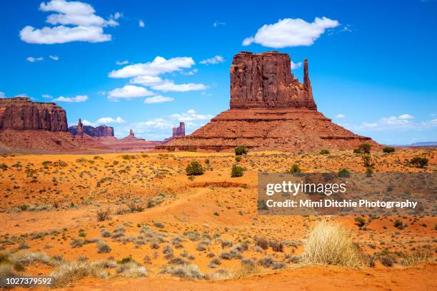 west mitten butte in monument valley - monumento do parque da tribo do vale - fotografias e filmes do acervo