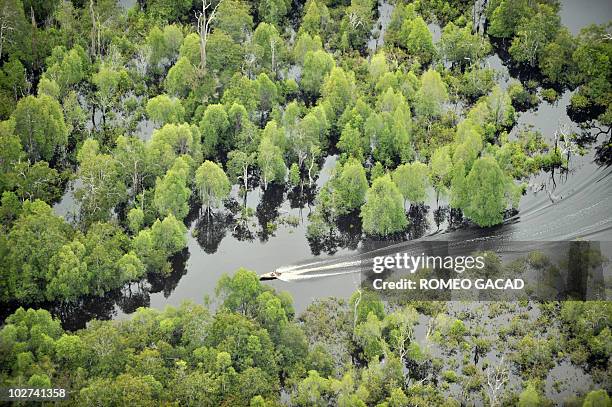 Sentarum Danau Sentarum National Park Photos and Premium High Res Pictures ...
