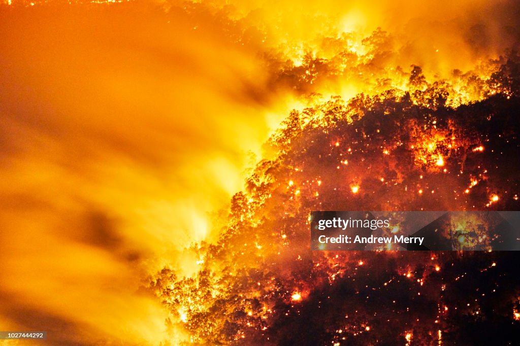 Aerial view of Fire, Forest Fire, Bushfire in valley, Blue Mountains, Australia