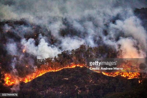 fire front, wall of fire, line of fire, forest fire, bushfire in the valley, blue mountains, australia - kontrolliertes abbrennen stock-fotos und bilder