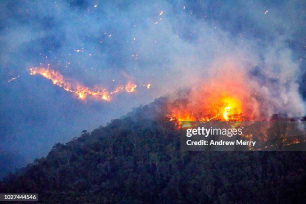 fire, forest fire, bushfire in the jamison valley, blue mountains, australia - abi pop stock pictures, royalty-free photos & images