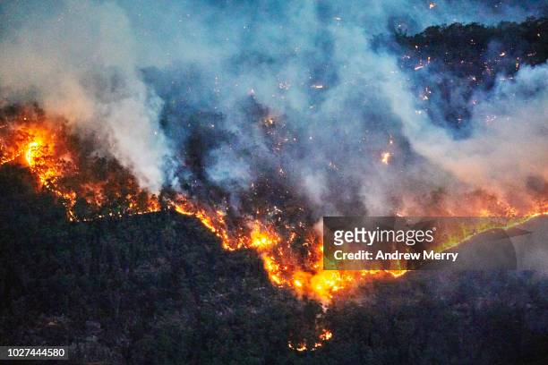 fire front, wall of fire, line of fire, forest fire, bushfire in the valley, blue mountains, australia - klimaatverandering stockfoto's en -beelden