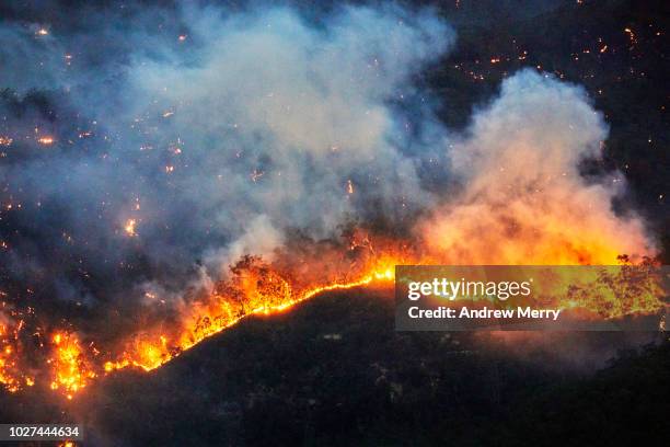 fire front, wall of fire, line of fire, forest fire, bushfire in the valley, blue mountains, australia - climate change australia stock pictures, royalty-free photos & images