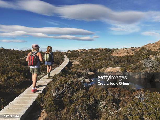 children hiking along a path in a national park - hiking australia stock pictures, royalty-free photos & images