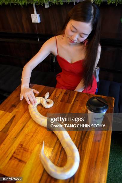 Cambodia Python 60 Cambodia Python Stock Photos, High-Res Pictures, and Images - Getty ...