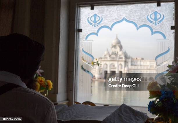 a pilgrim reads prayers from the guru granth sahib (religious scripture) at the golden temple (also known as sri harmandir sahib gurdwara) during the vaisakhi festival in amritsar, punjab, india - amritsar stock pictures, royalty-free photos & images