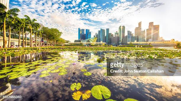 singapore, evening at marina bay - singapore pool stock pictures, royalty-free photos & images